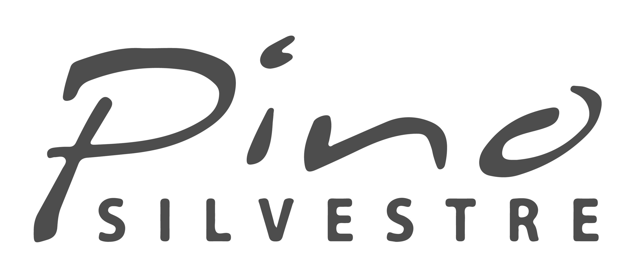 Pino Silvestre Amber Woods by Pino Silvestre Eau De Toilette Spray 2.5 oz