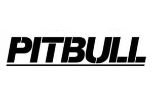 Pitbull by Pitbull Eau De Parfum Spray (Tester) 3.4 oz For Women