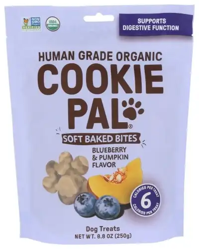 Cookie Pal Dog Treat Soft Bk Pumpkn