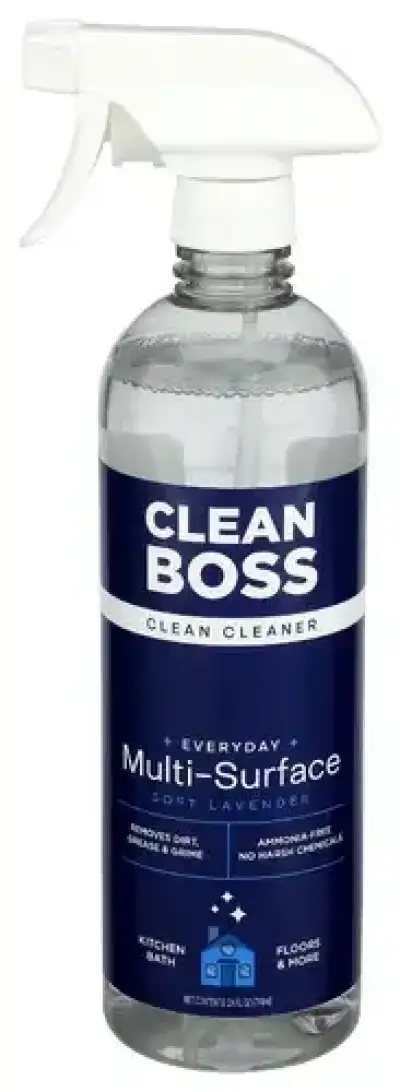 Clean Boss Cleaner Multi Spry Evrdy