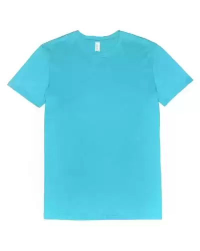 Threadfast Apparel 100A Unisex Ultimate CVC T-Shirt 2 Pack