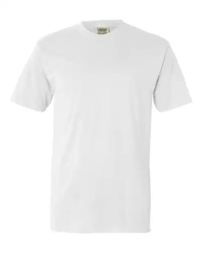Comfort Colors 4017 Unisex Garment-Dyed Lightweight T-Shirt 2 Pack