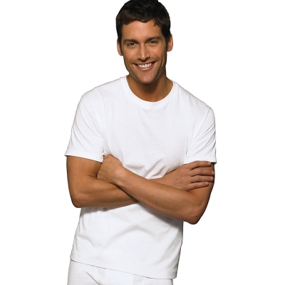 Hanes Classic Big Mens Crew Neck T-Shirt P5 