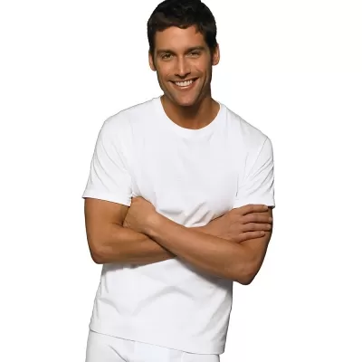 Hanes Classic Big Mens Crew Neck T-Shirt P5 