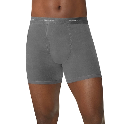 Hanes TAGLESS Men's Boxer Briefs 4-Pack