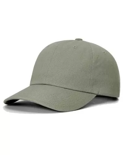 Richardson 254RE Sustainable Ashland Dad Hat