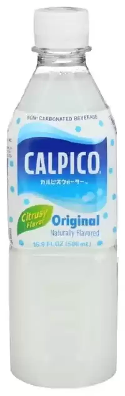 2304611 16.9 Fl Oz Original Soft Drink Water Juice - 