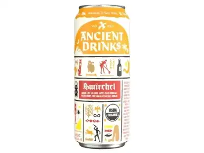 Khch02410743 16 Fl Oz Switchel Functional Water