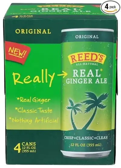 Soda Real Ginger Ale 4Pk, 48 Fo