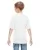 10171.webp