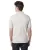 113.webp