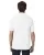 114.webp