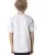 159147.webp