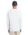171572.webp