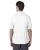 171737.webp