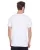 176517.webp