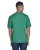 179664.webp