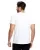182425.webp