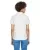 18755.webp