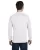 20450.webp