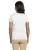 20462.webp