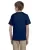 21136.webp
