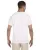 21222.webp