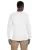 21272.webp