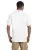 21297.webp