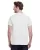 21507.webp