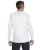 21665.webp