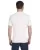 21831.webp