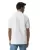 21888.webp