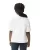 21897.webp