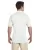 22273.webp
