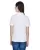 23533.webp