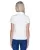 23651.webp