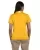 23773.webp