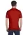23940.webp