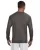 24497.webp