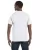 2491.webp