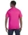 2513.webp