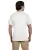 2551.webp
