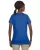 2564.webp