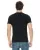 2593.webp