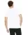 2651.webp