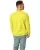 26855.webp
