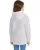 26964.webp