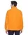 29956.webp