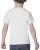 30803.webp